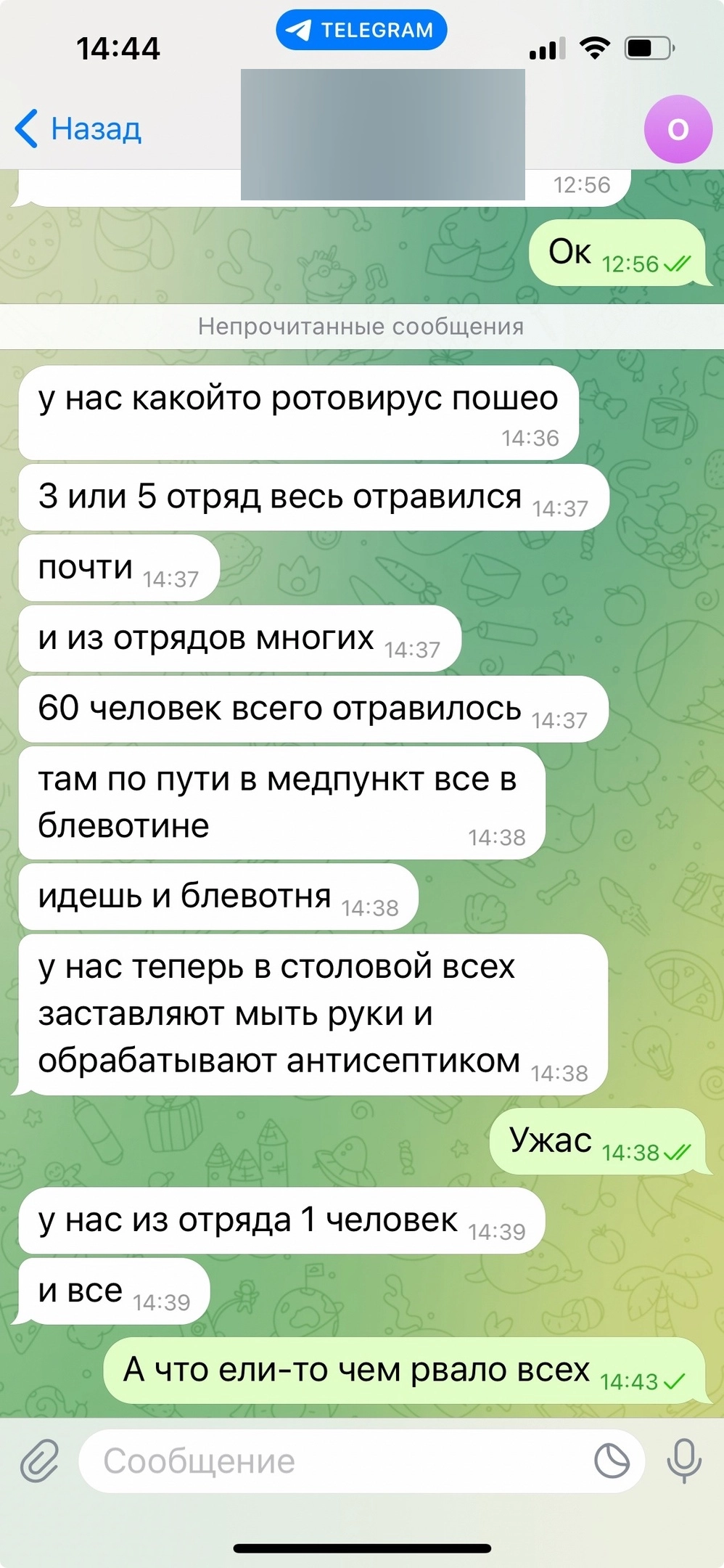 В Магнитогорске родители заявили о массовом отравлении детей в лагере | АиФ  Челябинск