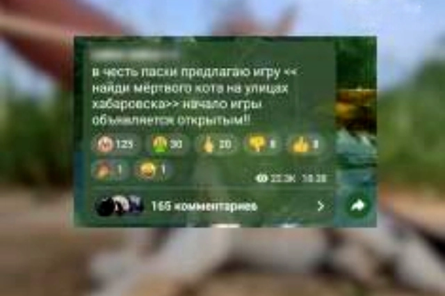 Котенок в руках девочки-садистки