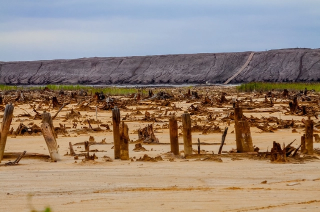 Детей золотом кормили. Село Шурала было одним из самых богатых на Урале