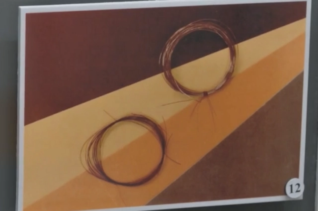 Первые на Урале. Как посёлок демидовского завода стал городом трубников