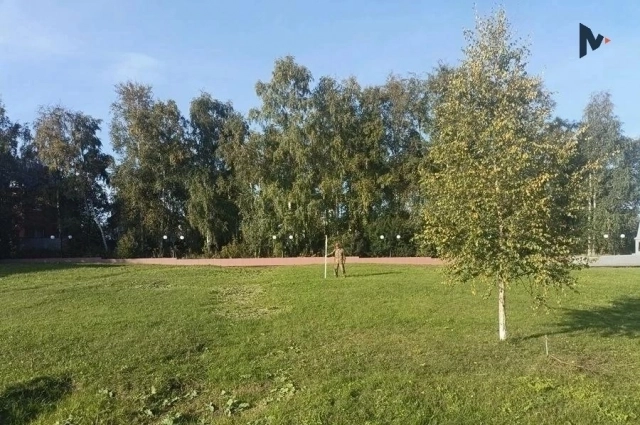 Исследования ведутся на восьми участках в парке имени Гавриила Собянина.