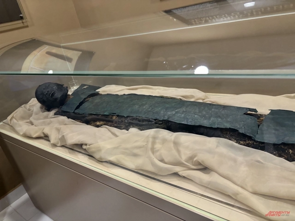 Мумия древнего воина.