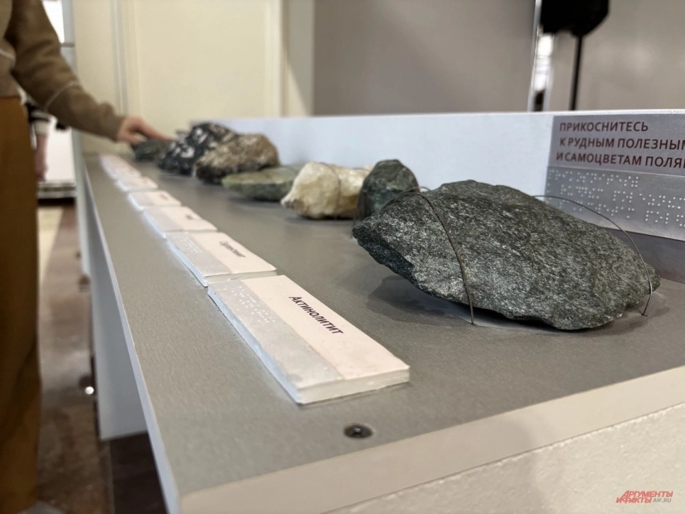 Экспозиция, посвященная полезным ископаемым Ямала, в Музейно-выставочном комплексе имени И. С. Шемановского.