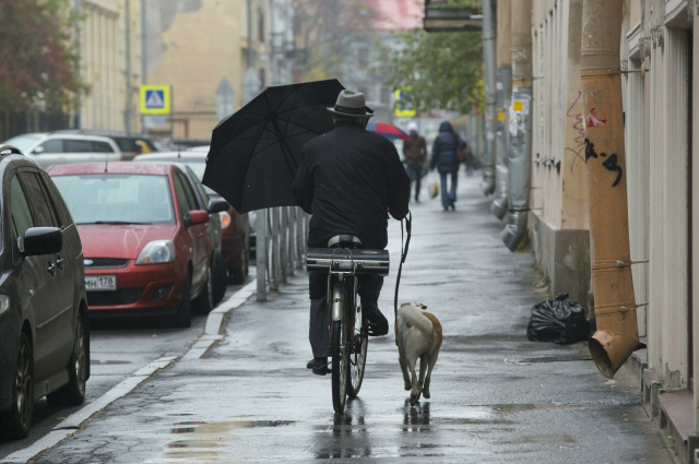Многих отталкивает дождливая петербургская погода.