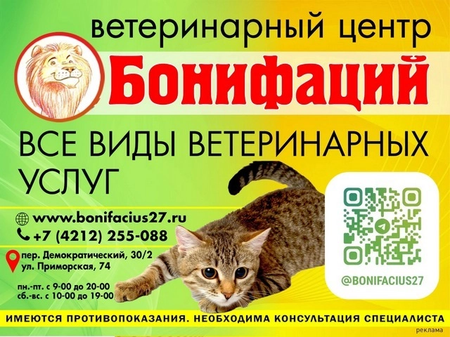 Ветеринарный центр