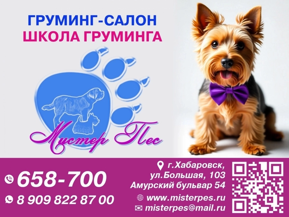 Груминг-салон