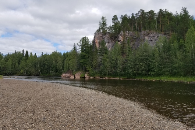 Полиграф до заповедника не дошёл
