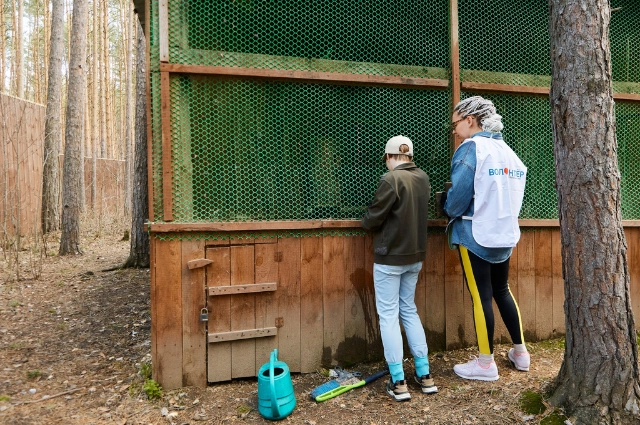 Сотрудники ВИЗ-Стали победили в конкурсе эковолонтерских проектов