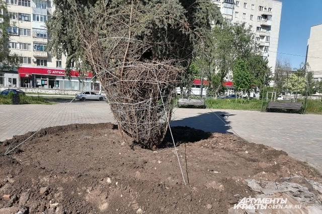 Фото сделано в мае 2024 года.