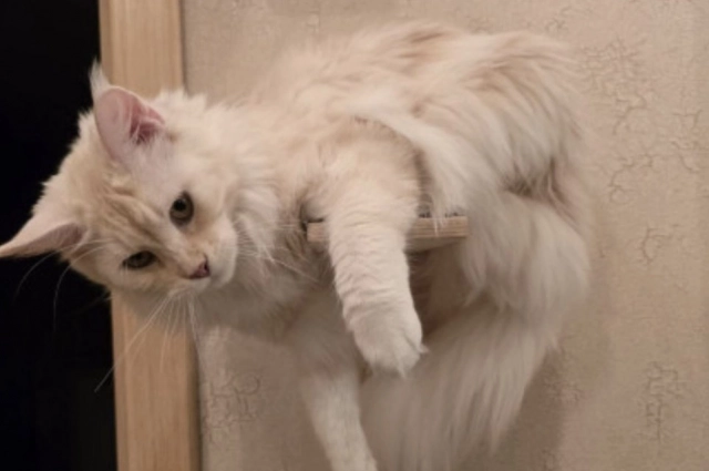 Мысли о жизни настигли невовремя...