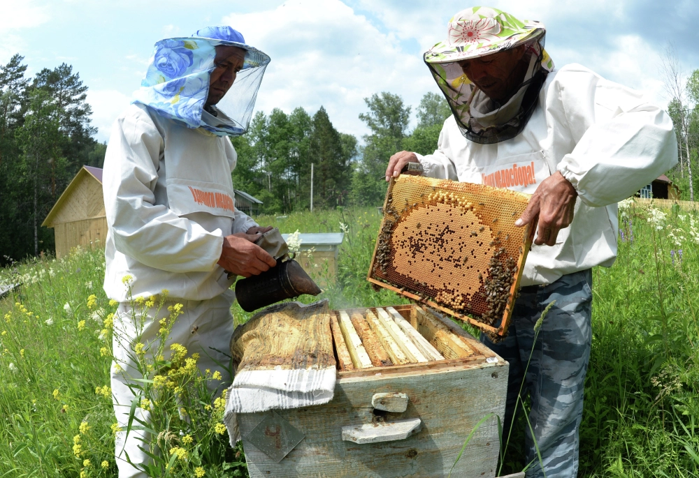 Современные пчеловоды используют рамочные ульи.