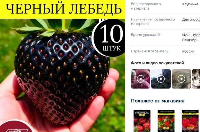 Скриншот одного из маркетплейсов