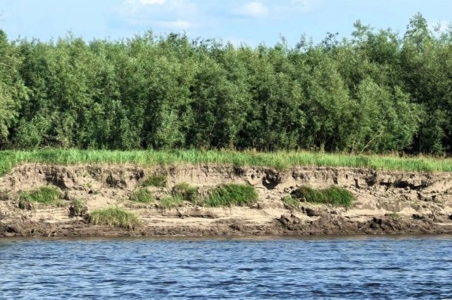 Берег реки Алдан