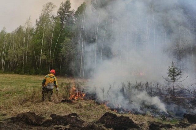 В 2021 году в Якутии было зарегистрировано 1694 лесных пожара, площадь, пройденная огнем, — 8,7 млн га.