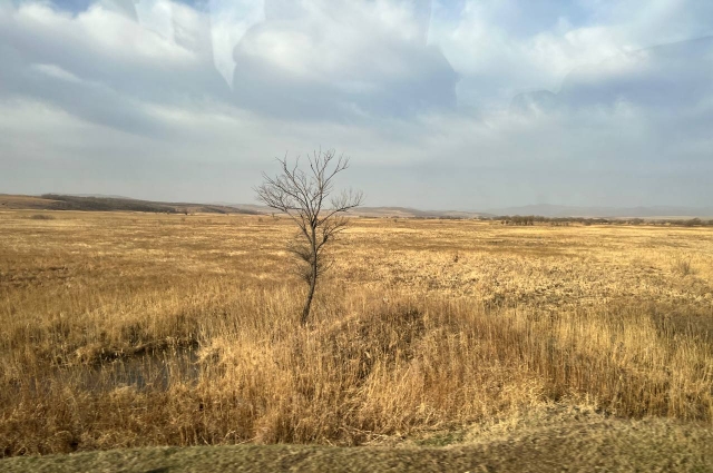 Дорога из Барабаша в Пограничный – сплошное болотистое поле. 