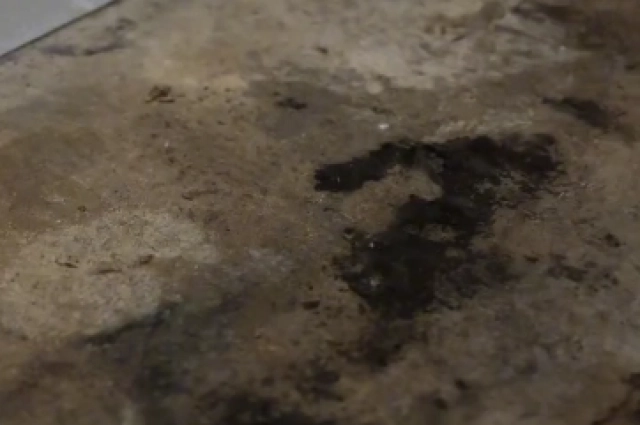 Под напольным покрытием образовалась черная плесень. 