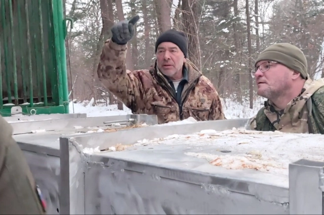 Отлов тигров