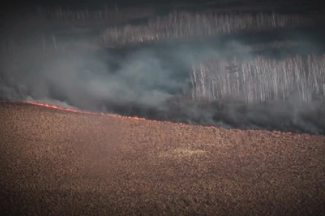 Пожарные, пожар, ландшафтный пожар