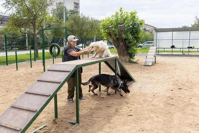 Две зоны для выгула питомцев появились в Орджоникидзевском районе