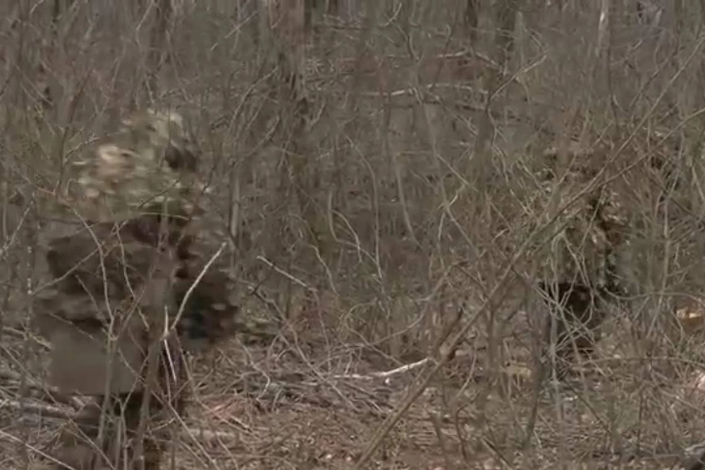 Фото к ночному тексту Никиты Сахарова про саперов. Работа снайперов группировки войск Восток на Запорожском направлении