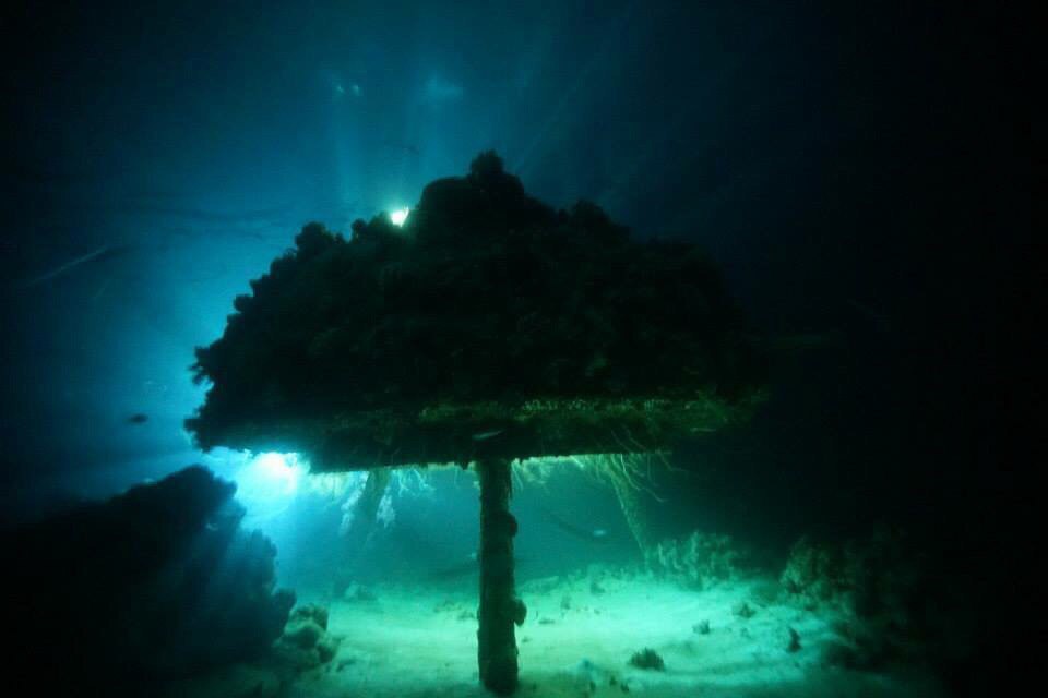 На рифе Шаб-Руми сохранились фрагменты подводной лаборатории Кусто.
