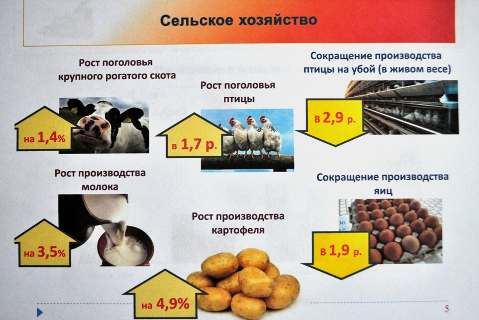 Экономика мурманской области проект 3 класс окружающий мир