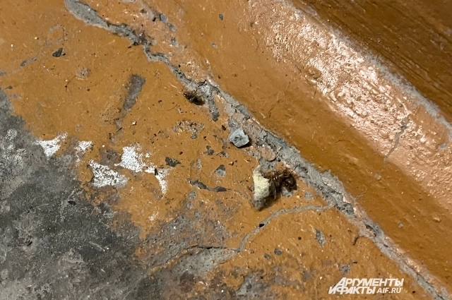 Соседи пожаловались, что из квартиры Малышева ползут тараканы.