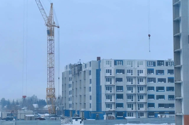 По поручению губернатора в 2026 году на субсидии для молодых семей выделено около 80 млн руб.