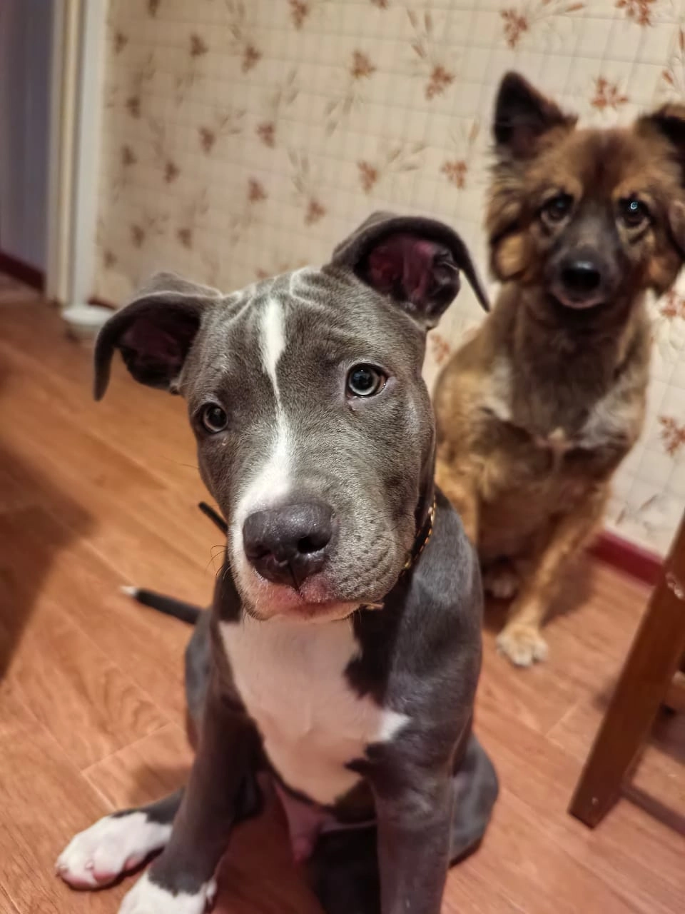 Майкл и Мия. 