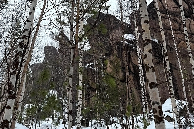 Проходимость с тайге очень плохая. Туристы ходят на снегоступах. 