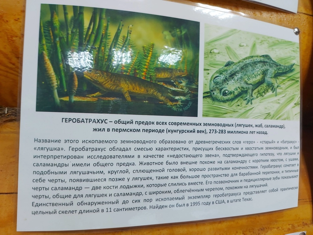 Липовая гора