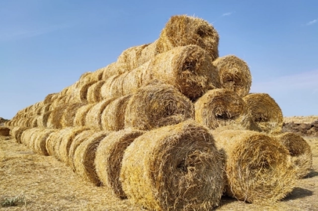Раньше уже во всю заготавливали сено.