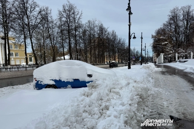 Марина Масленникова