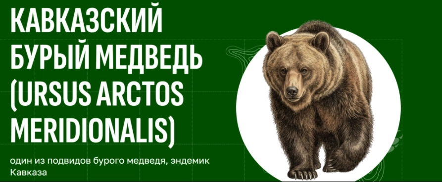 Хранители