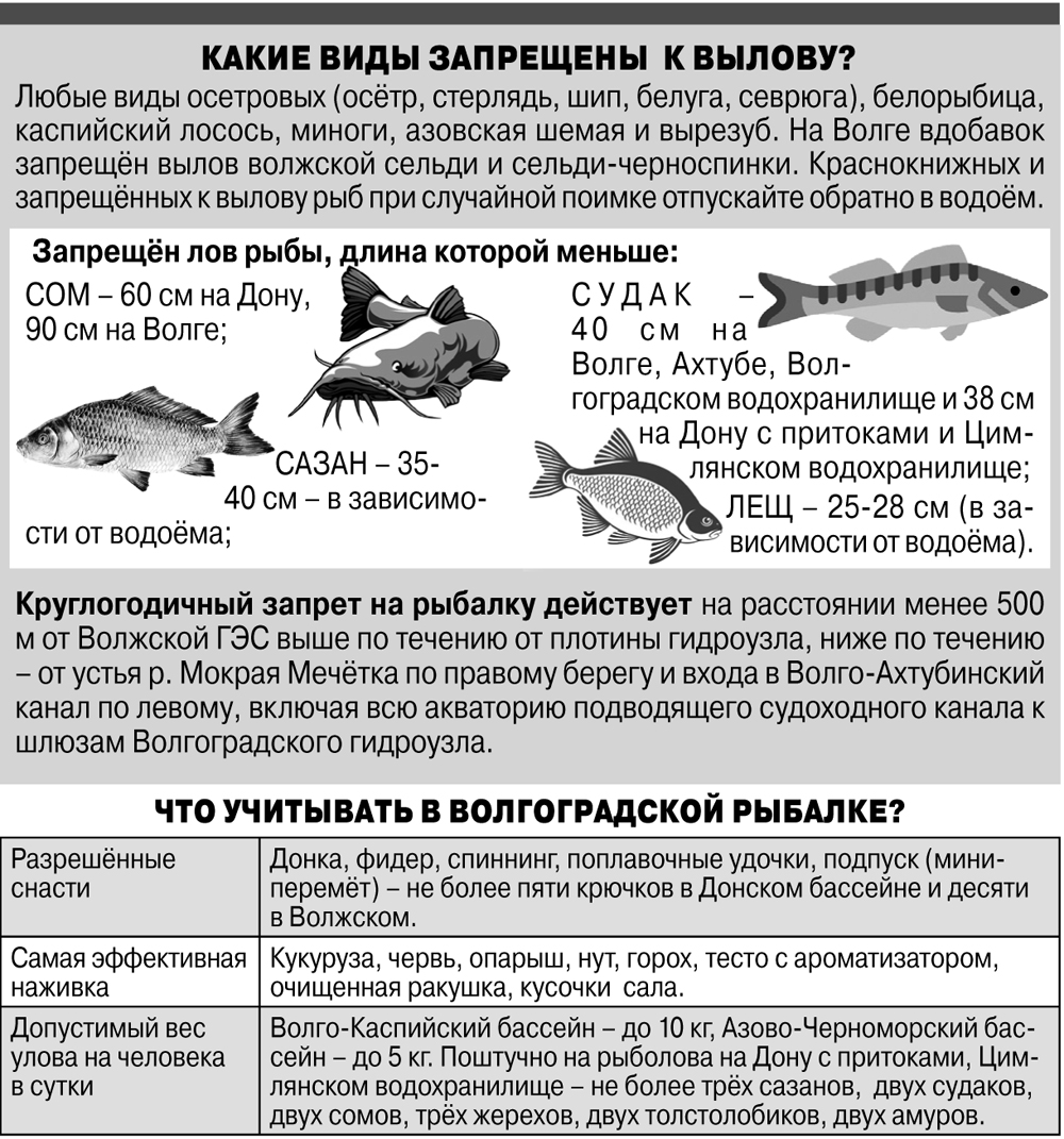 Запрет на ловлю в волгоградской области
