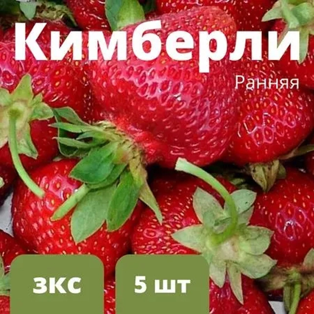 Кимберли.
