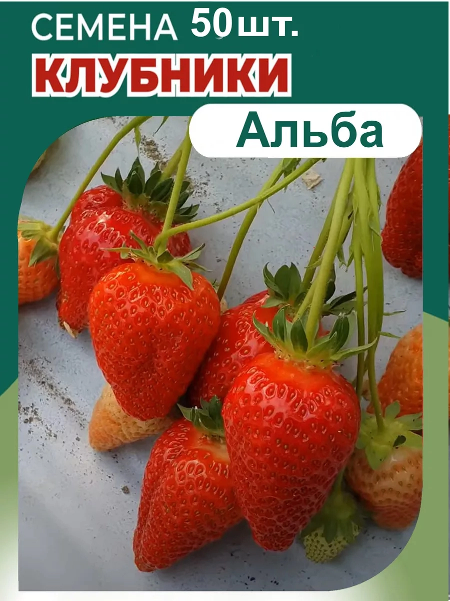 Альба.