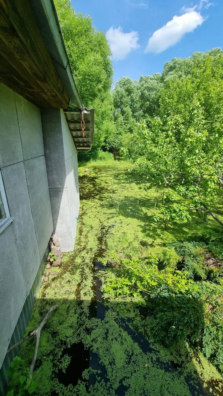 Суд полностью удовлетворил требования прокуратуры. 