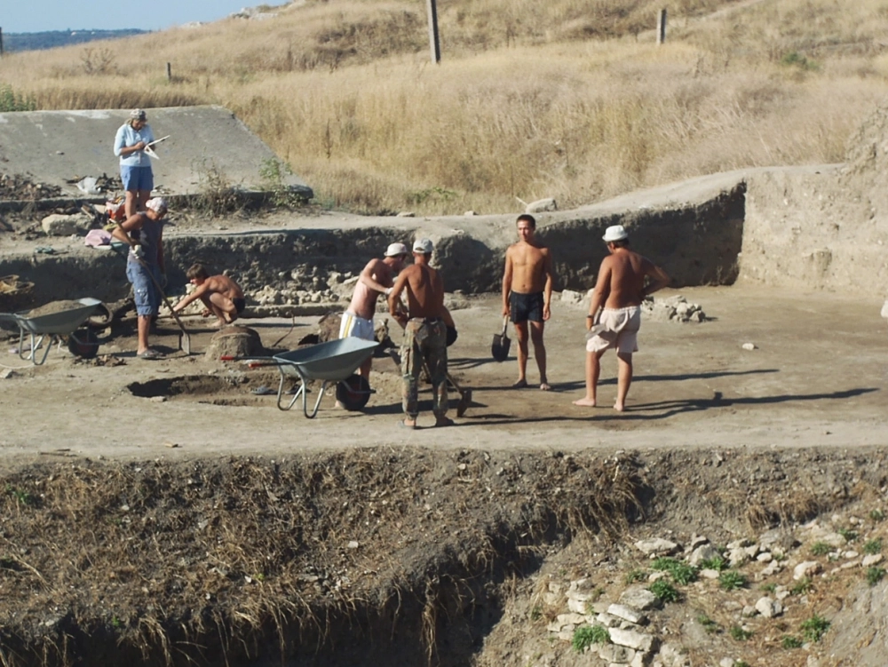 Мирмекий изучают почти 200 лет.