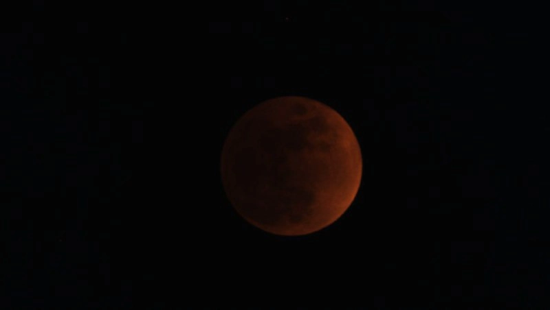 Небо тёмное, но спутник Земли виден.