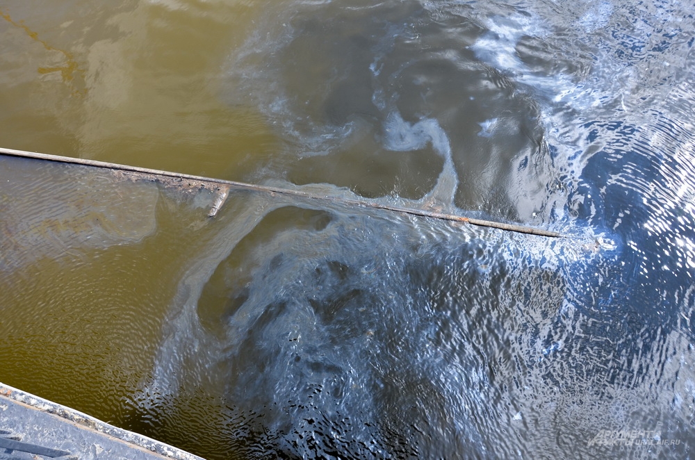 Маслянистое пятно на городскому пруду у Макаровского моста.