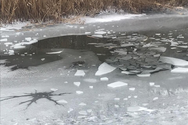 Лёд на реке оказался непрочным.