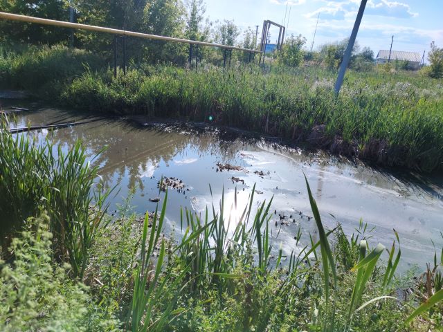 Искусственное болото в селе Батырево.