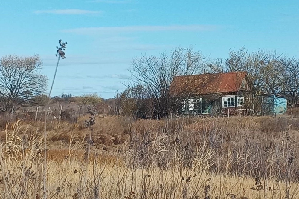 Ежегодно к середине осени острова под Хабаровском превращаются в сплошное поле сухостоя, где даже маленькая искра от горящего мусора может повлечь беду.