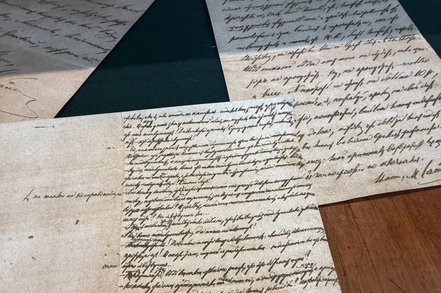 Почерк у Михаила Салтыкова был неразборчивый, поэтому переписчиком бумаг он не работал.