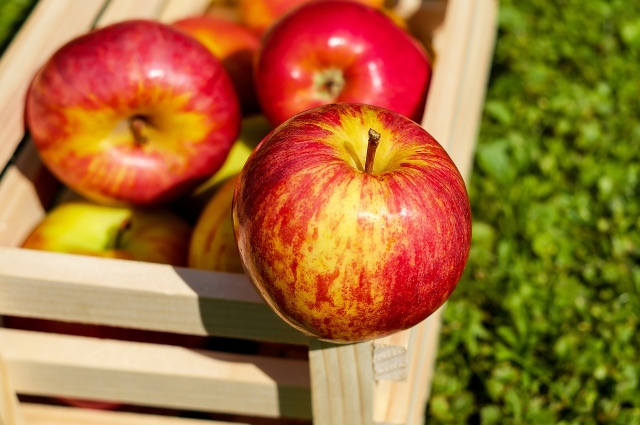 В это время садоводы собирают урожай яблок. Принято освящать яблоки в церкви и затем готовить из них различные блюда.