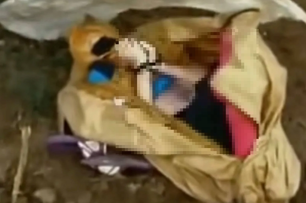 Страшная находка в огороде у дома Панченко.