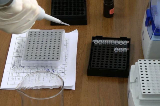 ДНК-лаборатория позволяет находить преступников. 