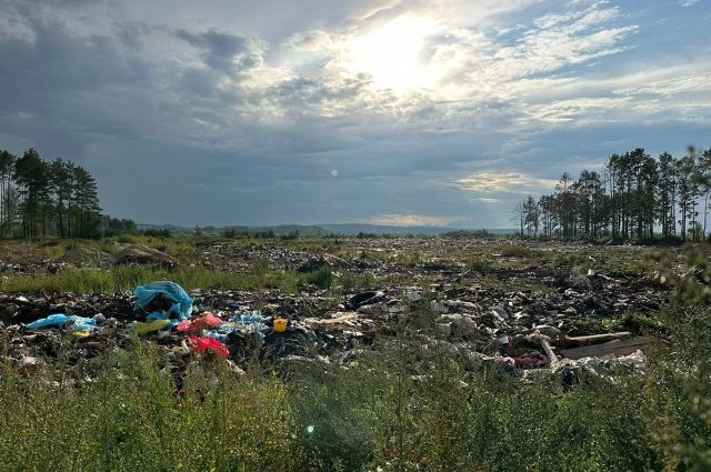 На Урале эковолонтеры нашли опасные медотходы на незаконной свалке