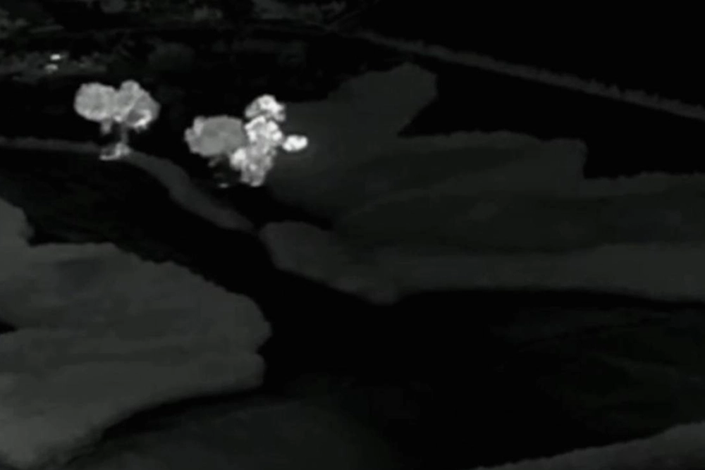 Результат работы «Тосочки» (вид с коптера).